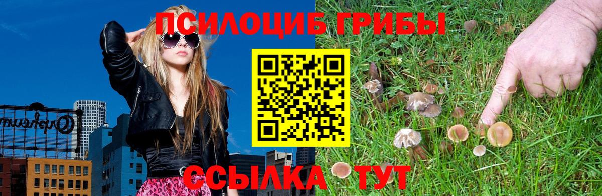 Галлюциногенные грибы MAGIC MUSHROOMS  Вход с VPN  купить   Богородск 