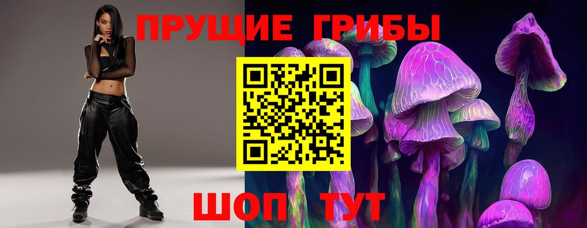 Псилоцибиновые грибы Psilocybe Богородск